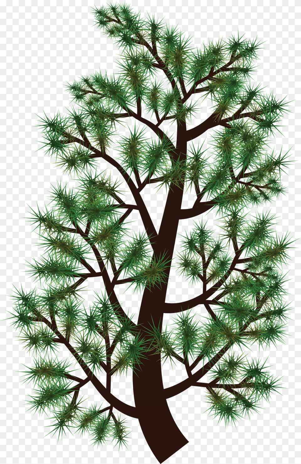 Free Clipart Of A Pine Tree Branch Clip Art Png Image