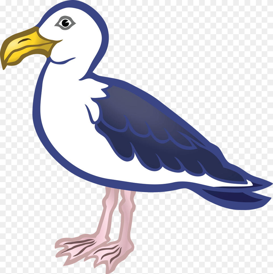Clipart Of A Seagull Bird, Animal, Waterfowl, Beak Free Png Download