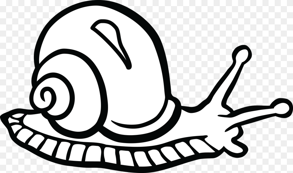 Clipart Of A Snail, Animal, Invertebrate Free Transparent Png