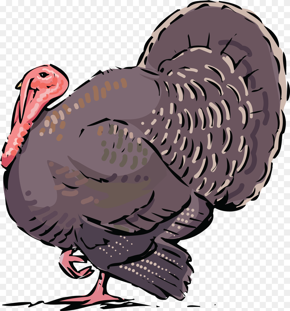 Clipart Of A Turkey Bird Clip Art Turkey, Animal, Fowl, Poultry, Turkey Bird Free Transparent Png