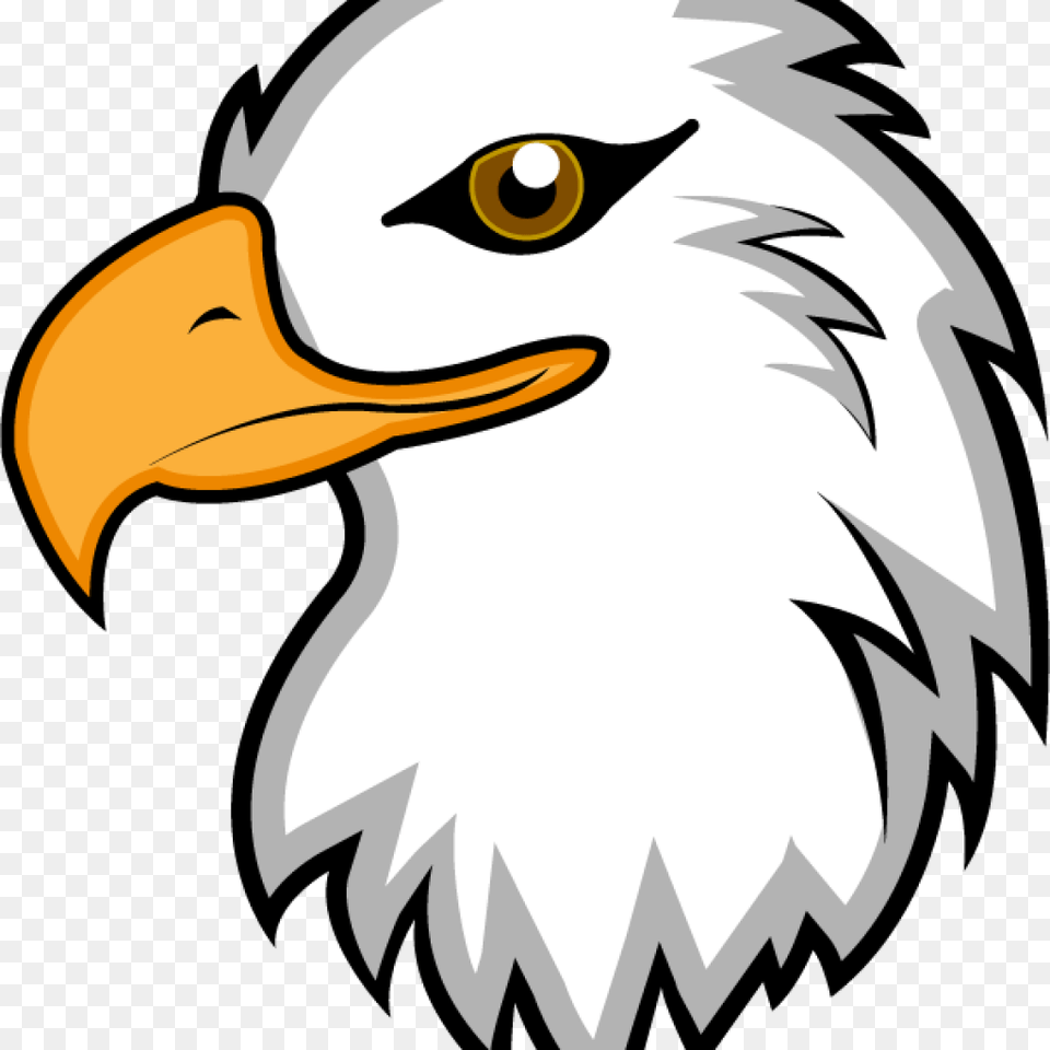 Free Clipart Of Eagles Free Clipart Download, Animal, Beak, Bird, Eagle Png