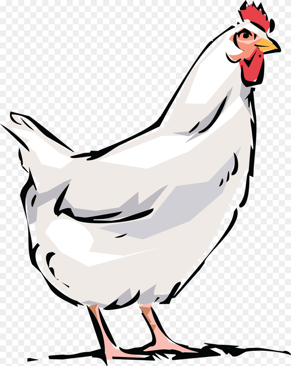 Clipart Of White Hen, Fowl, Animal, Bird, Chicken Free Png Download