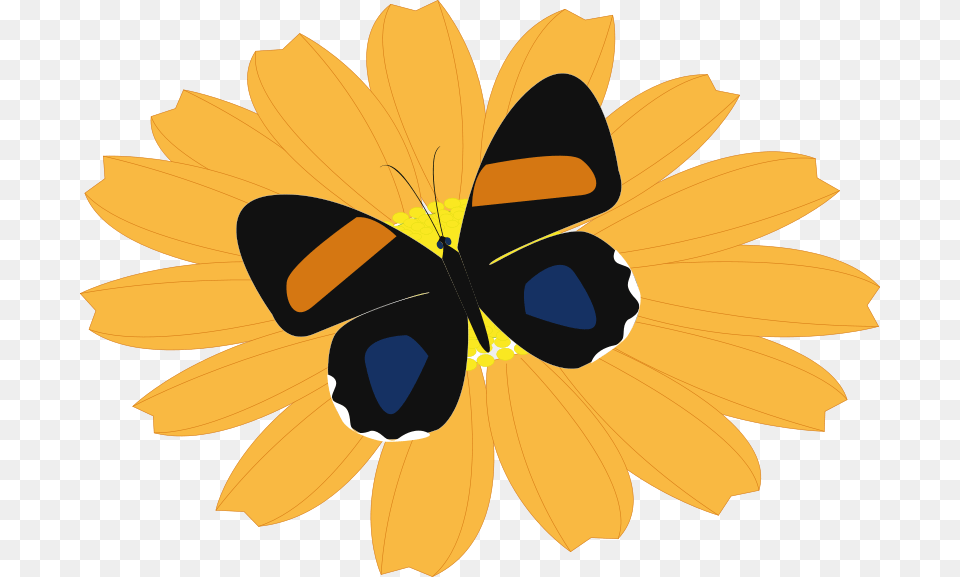 Clipart Papillon Presquesage, Daisy, Flower, Petal, Plant Free Png Download
