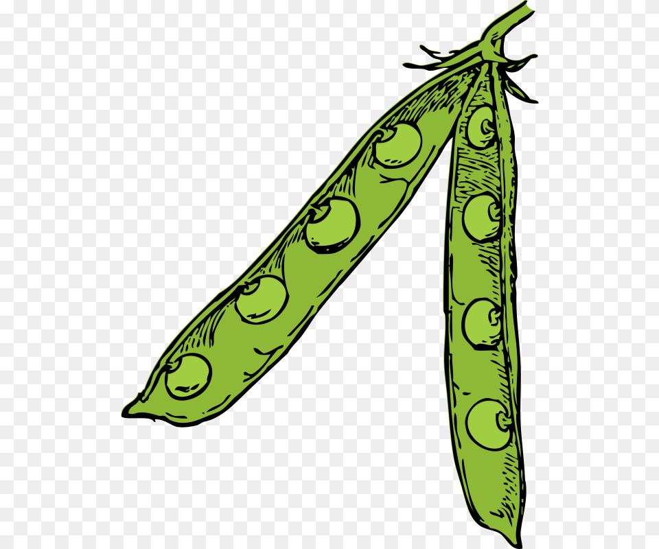 Clipart Pea Pod Johnny Automatic, Food, Produce, Plant, Vegetable Free Png
