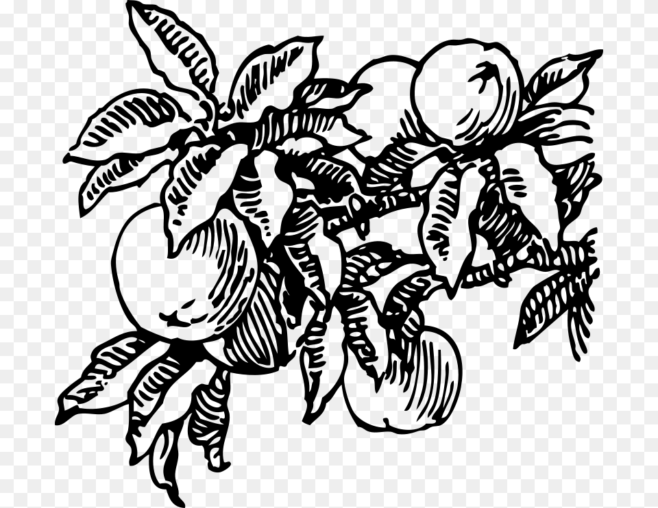 Free Clipart Peaches Johnny Automatic, Gray Png