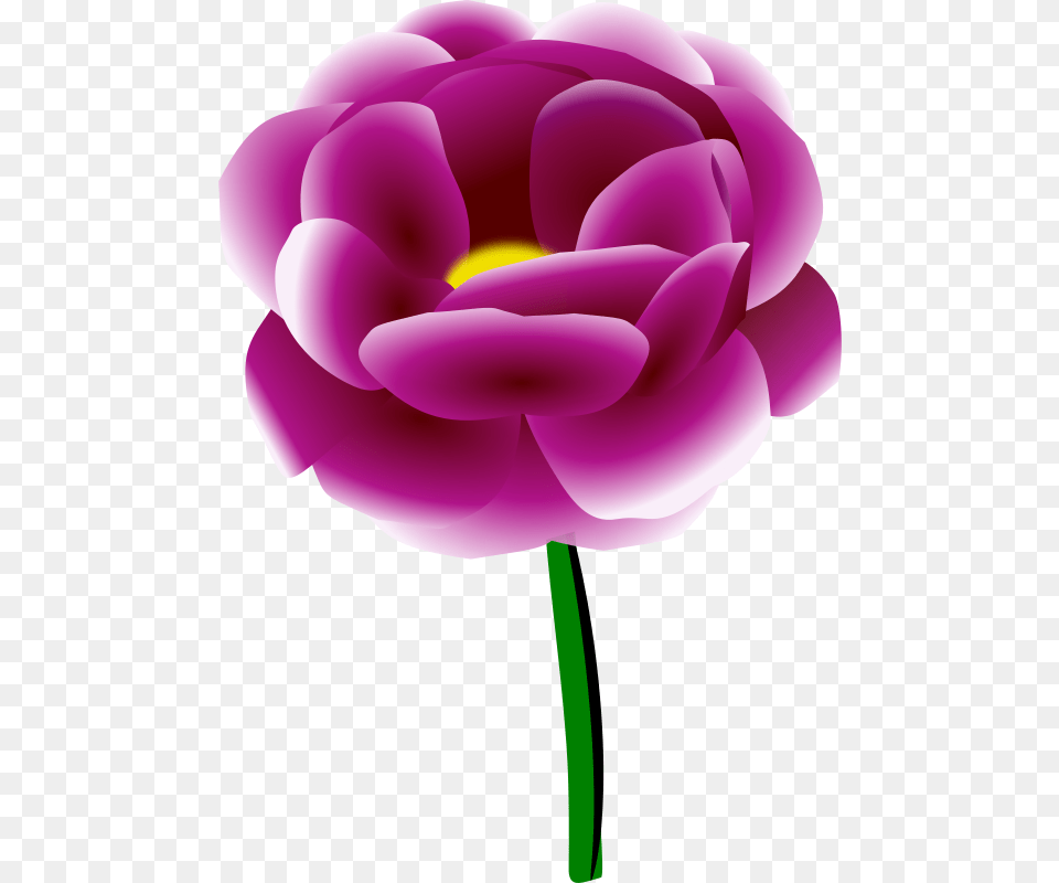 Free Clipart Peony, Flower, Plant, Rose, Dahlia Png