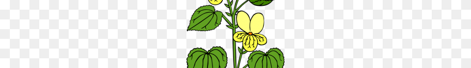 Clipart Plants Plants Clip Art Flower, Leaf, Plant, Green Free Png