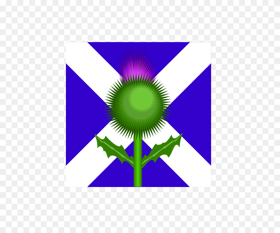 Clipart Scottish Thistle And Flag Kevie, Flower, Plant, Green Free Png