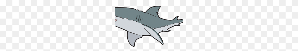 Clipart Shark Shark Clip Art, Animal, Fish, Sea Life, Great White Shark Free Transparent Png