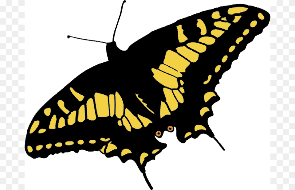 Free Clipart Speaking Man, Animal, Butterfly, Insect, Invertebrate Png