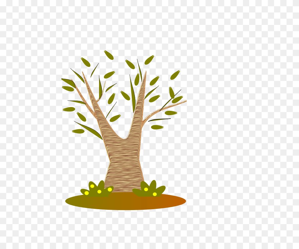 Free Clipart Tree Spevi, Plant, Herbal, Herbs, Leaf Png Image
