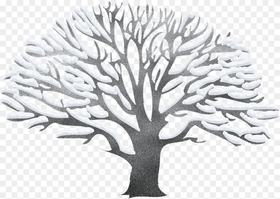Clipart Winter Tree Vector Stock Winter Winter Tree Clipart, Plant, Art, Outdoors, Nature Free Transparent Png