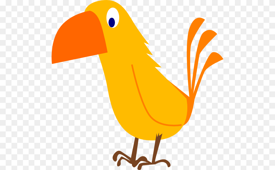 Cliparts Download Cliparts Clip Art, Animal, Beak, Bird Free Transparent Png