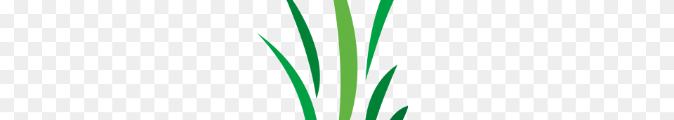 Free Cool Vector Designs Archives, Grass, Green, Plant, Person Png Image