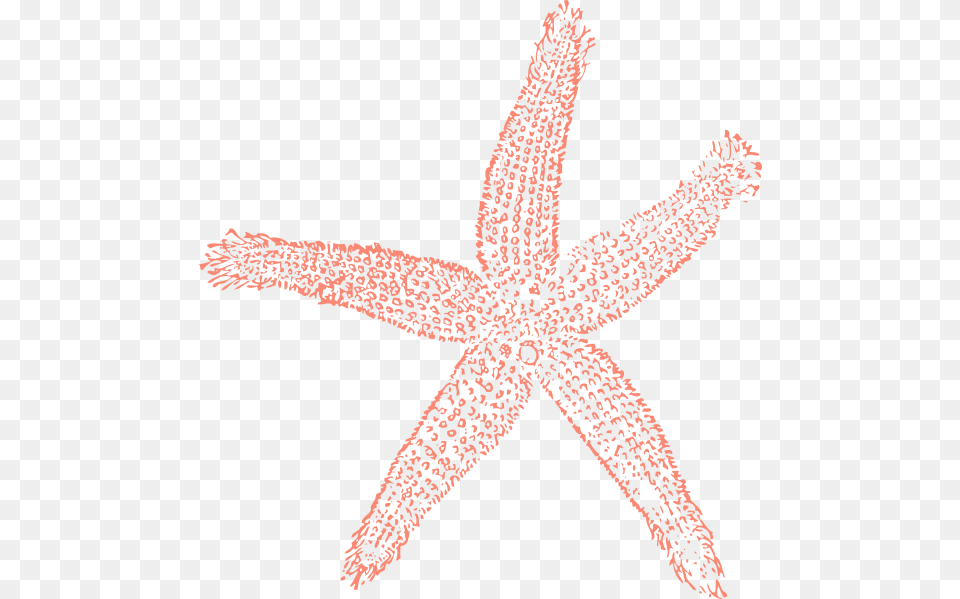 Coral Clipart Clip Art Coral Starfish Clipart, Animal, Sea Life, Invertebrate, Bow Free Transparent Png