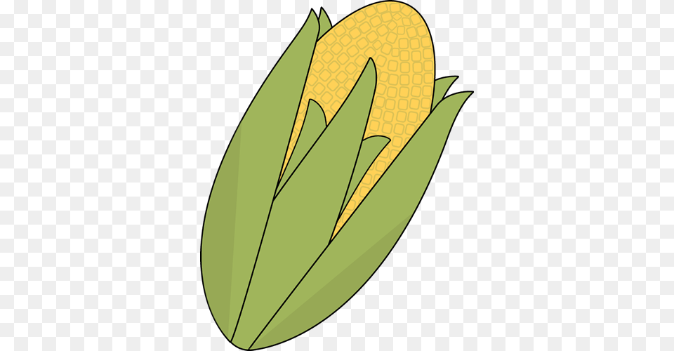 Free Corn Clip Art, Food, Grain, Plant, Produce Png