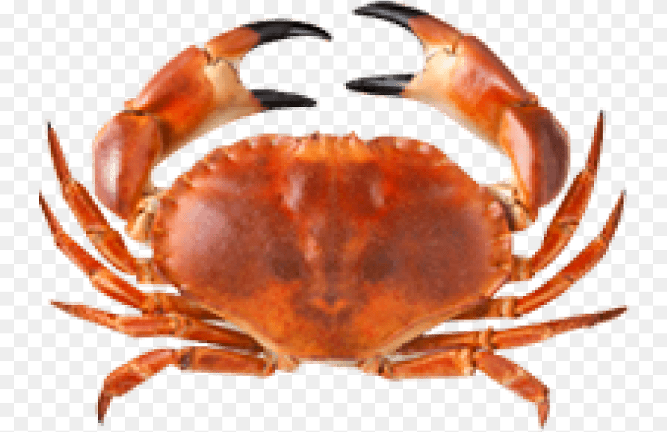 Free Crab Transparent Crabe, Food, Seafood, Animal, Invertebrate Png Image