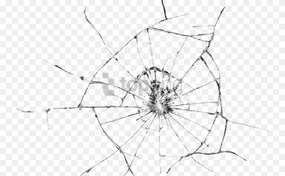 Cracked Glass Image With Animal, Chandelier, Invertebrate, Lamp Free Transparent Png