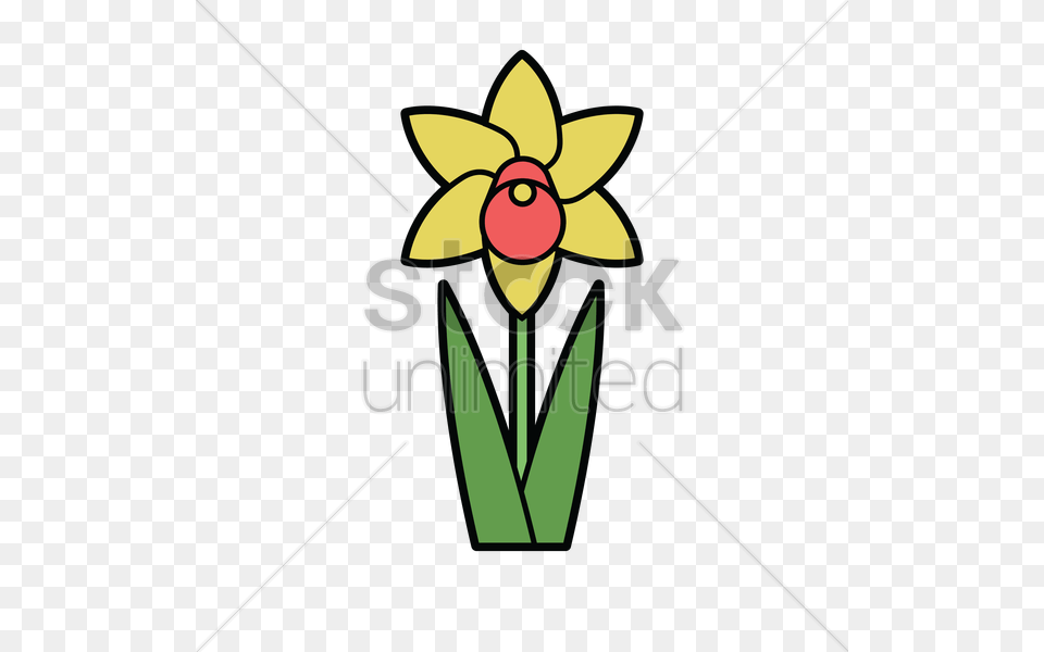 Daffodil Vector Image, Flower, Plant Free Transparent Png