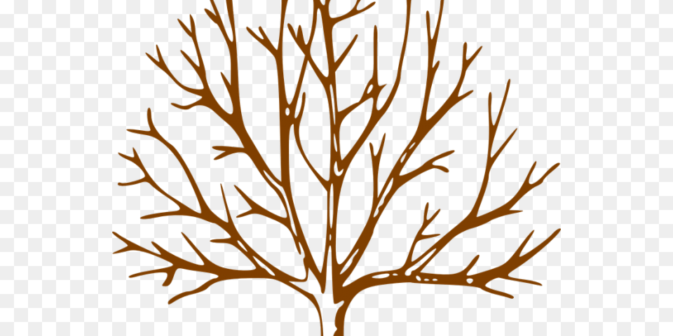 Free Dead Clipart Download, Leaf, Plant, Tree, Pattern Png