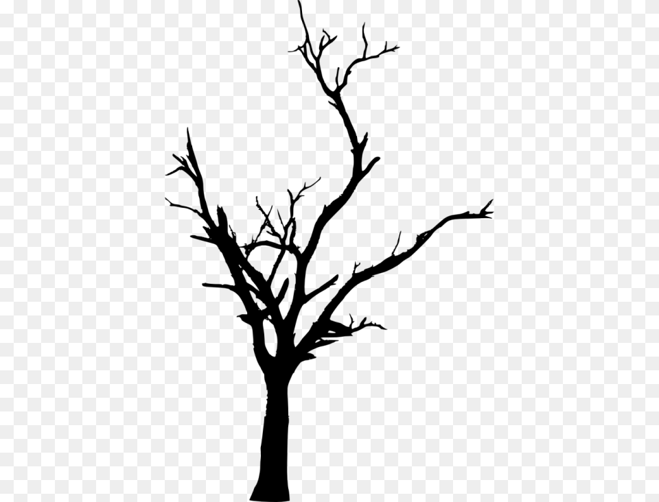 Dead Tree Silhouette Dead Tree Plant Free Transparent Png