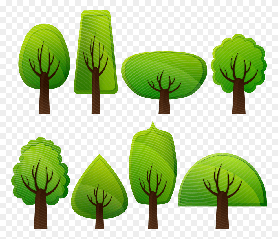 Free Deciduous Trees Forest Trees, Green Png Image