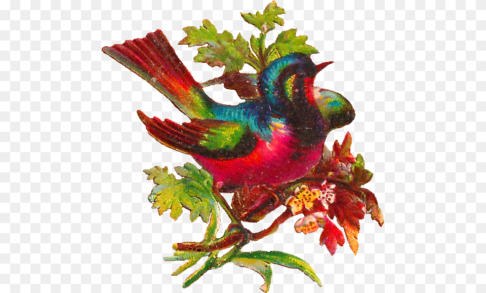 Digital Bird, Leaf, Plant, Animal, Finch Free Png