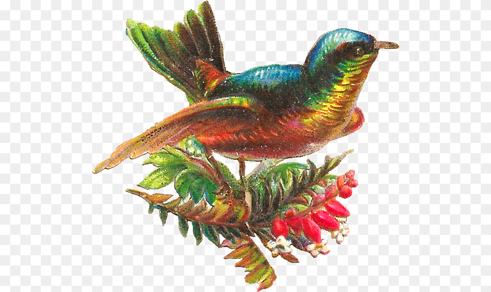 Digital Bird Clip Art Digital Bird, Animal, Leaf, Plant, Hummingbird Free Png