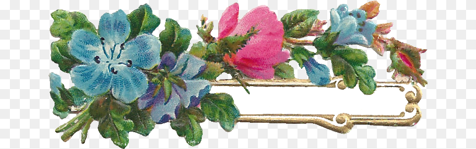 Digital Flower Label Design Floral Design, Plant, Leaf, Rose, Pattern Free Png