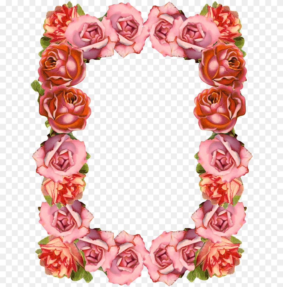 Digital Sugary Vintage Rose Frame And Border Der Vintage Pastelltag Der Rosen Mutter Karte, Flower, Flower Arrangement, Plant, Petal Free Png