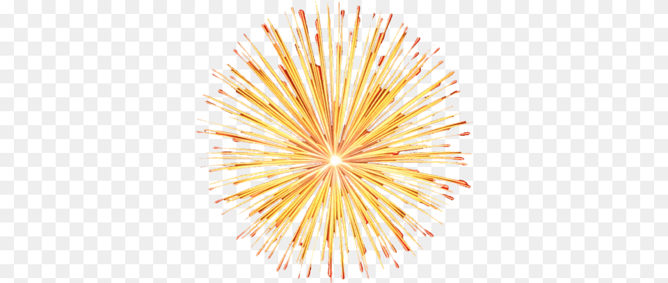 Free Dlpngcom Transparent Background Gif Fireworks, Plant Png