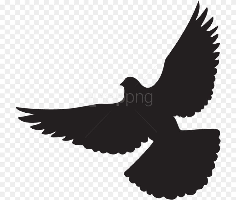 Dove Silhouette Dove Silhouette, Animal, Bird, Pigeon, Person Free Transparent Png