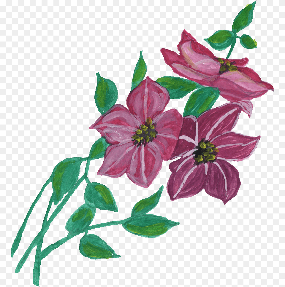 Download, Flower, Plant, Pattern, Art Free Png