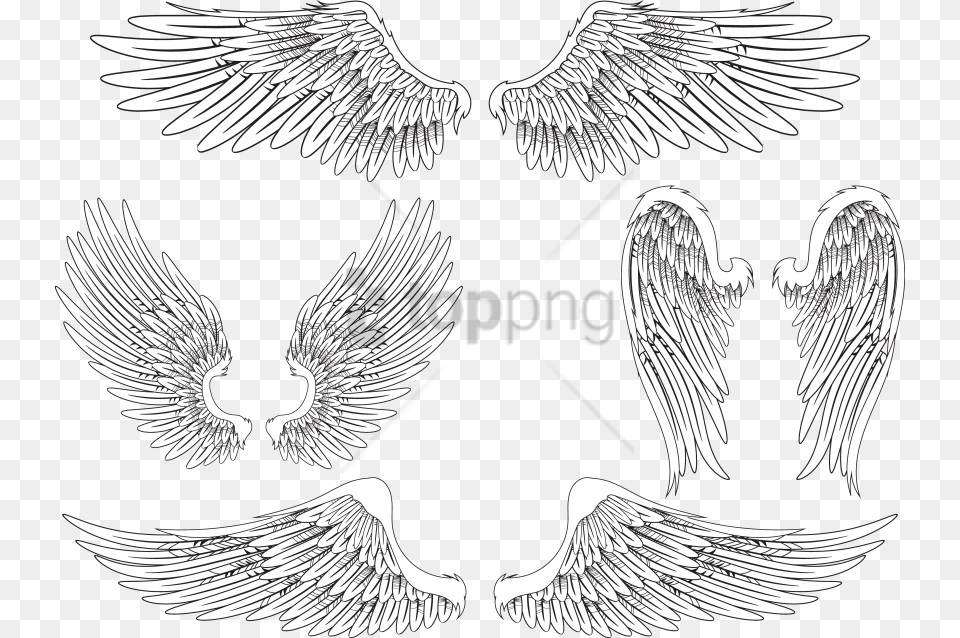 Angel Wing Bird Feather Images Realistic Angel Wings Drawing, Animal Free Png Download