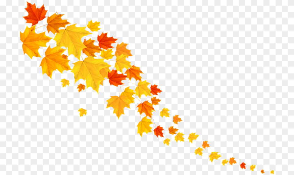 Free Download Autumn Leafs Decorative Clipart Autumn Decoration, Leaf, Plant, Tree, Maple Png