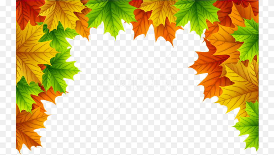 Autumn Leaves Decorative Top Border Autumn, Leaf, Plant, Tree, Maple Leaf Free Png Download