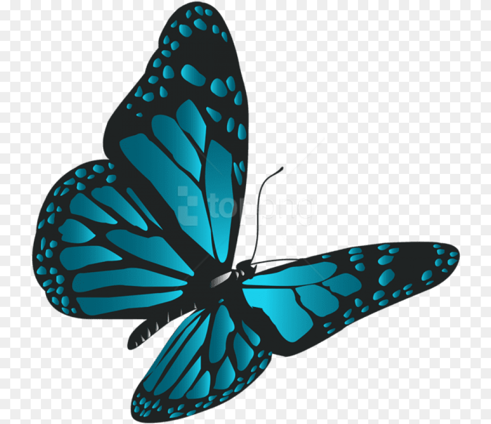 Free Download Blue Butterfly Clipart Photo Real Blue Butterfly, Animal, Fish, Insect, Invertebrate Png Image