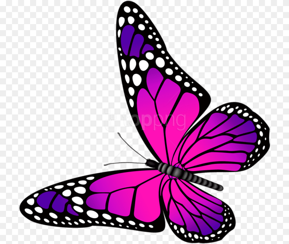 Download Butterfly Pink Butterfly Pink And Purple, Animal, Insect, Invertebrate Free Transparent Png