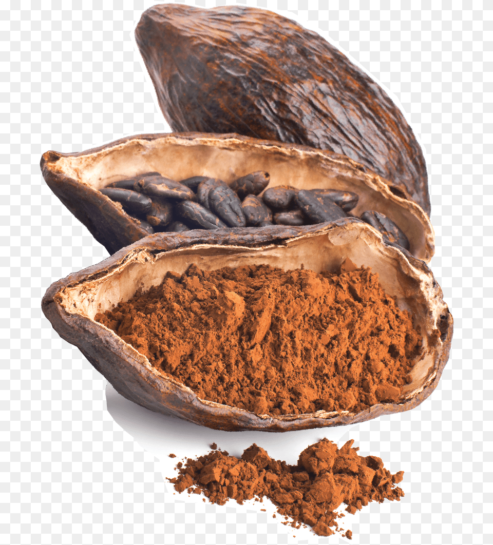 Download Cacao Bean, Cocoa, Dessert, Food Free Png