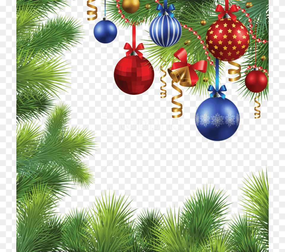 Free Download Christmas Background Christmas Hd, Plant, Tree, Accessories, Ornament Png