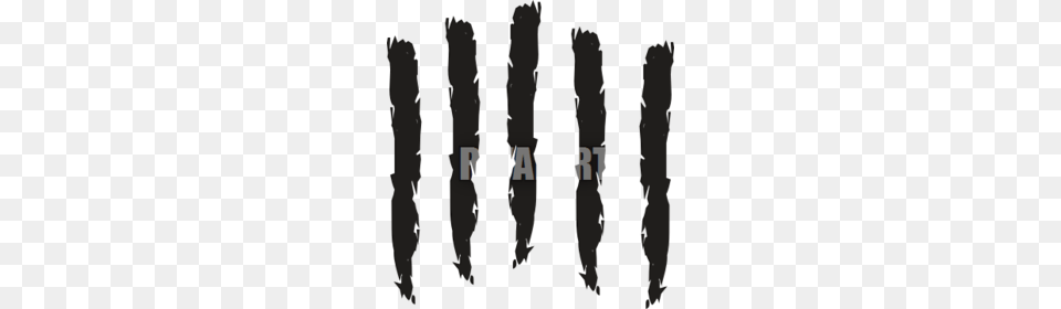 Download Claw Clipart Bear Claw Tiger Bear Scratch, Text, Adult, Male, Man Free Transparent Png