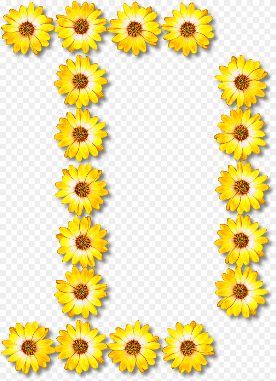 Free Download Common Sunflower Clipart Bunga Bentuk Huruf N, Daisy, Flower, Petal, Plant Png