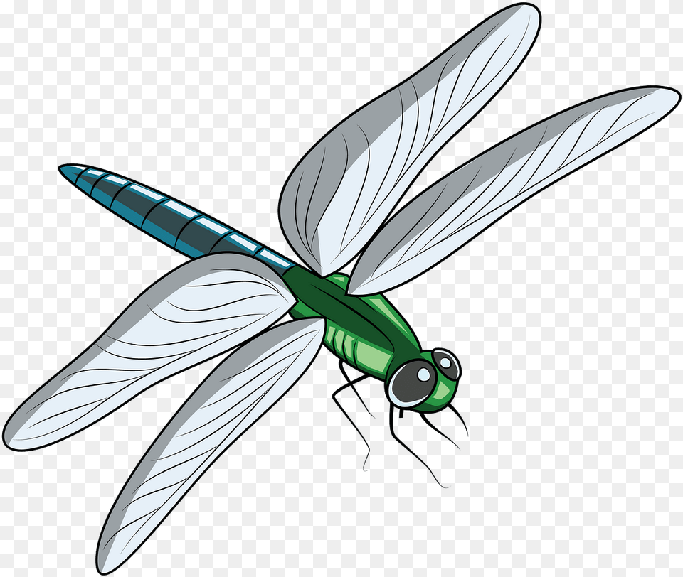 Creazilla Dragon Fly Pond Clipart, Animal, Dragonfly, Insect, Invertebrate Free Png Download