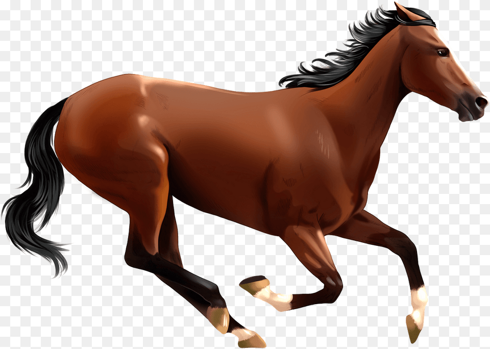 Free Download Creazilla Sorrel, Animal, Colt Horse, Horse, Mammal Png Image