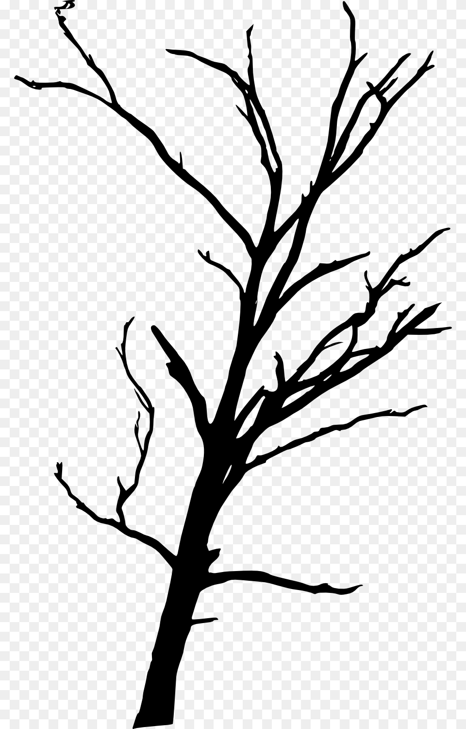 Download Dead Tree Art, Silhouette, Drawing, Plant Free Transparent Png