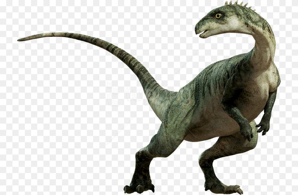 Dinosaur Standing Background Dinosaur, Animal, Reptile, T-rex Free Png Download