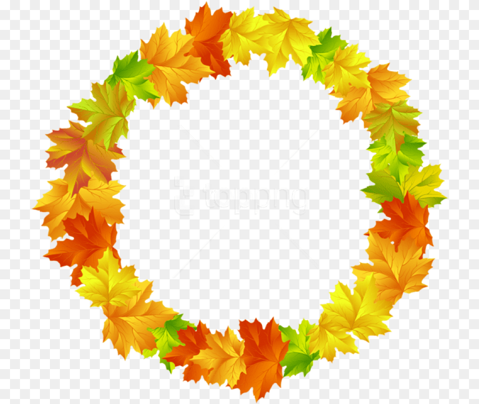 Free Download Fall Leaves Round Border Frame Clipart Fall Leaves Circle Clipart, Leaf, Plant, Flower, Flower Arrangement Png