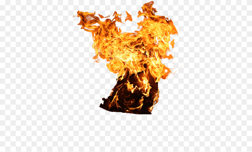 Download Fire Clipart Photo Images Tree On Fire, Flame, Bonfire Free Transparent Png