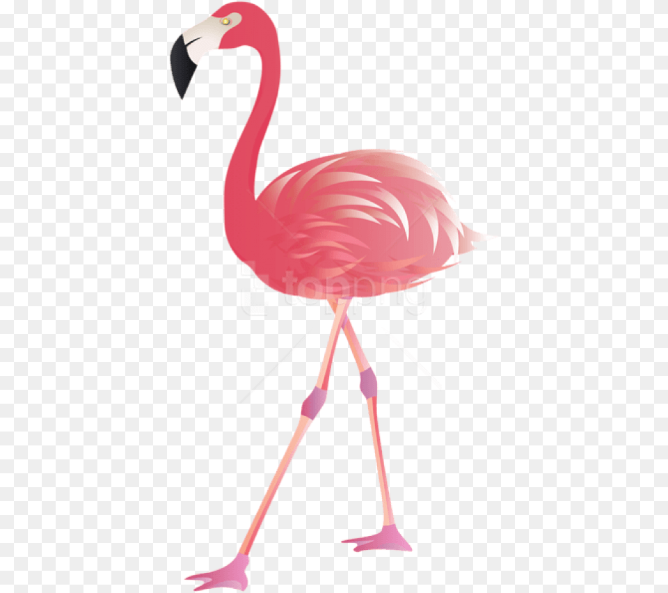 Free Download Flamingo Images Background Clip Art Flamingo, Animal, Bird, Person Png