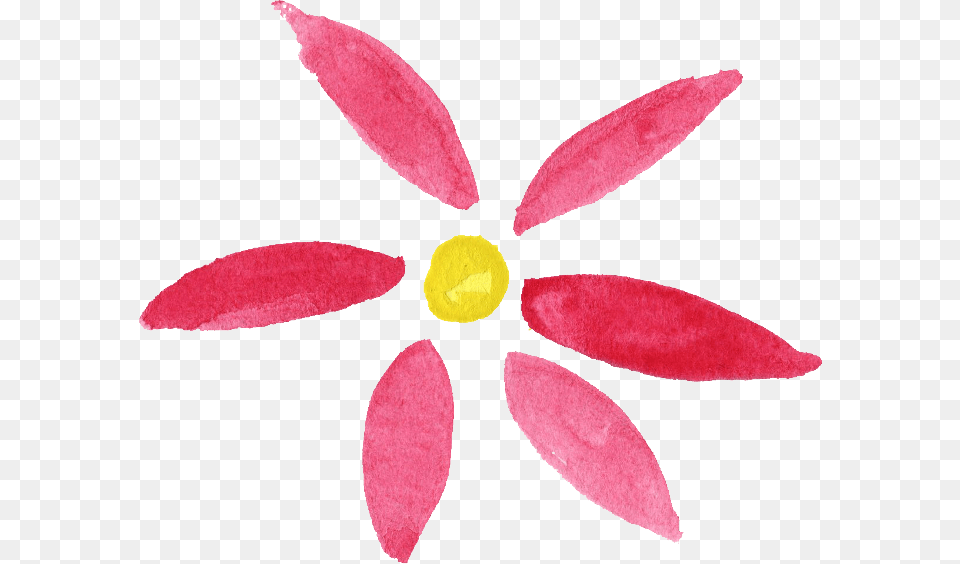 Free Download Flower Crayon, Petal, Plant, Daisy, Flare Png Image